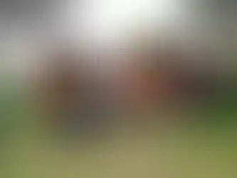 Mobil tiny house Türkiye üretimi