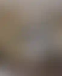 MDF mutfak dolaplı konteyner ev mutfağı