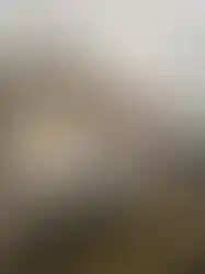 Plakalı karavan ruhsatlı mobil kafe