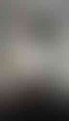 Glamping alanı için ahşap bungalow