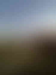 Ahşap kaplamalı modern konteyner ev