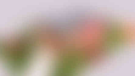 “Simgesan verandalı ahşap konteyner ev dış cephe görüntüsü.”