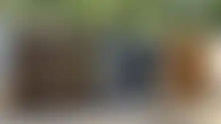 4x8 ofis konteyneri geniş cam cephe