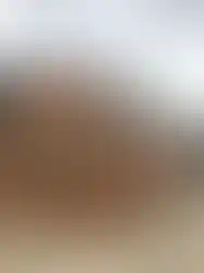 33m² ahşap konteyner ev dış cephe görünümü