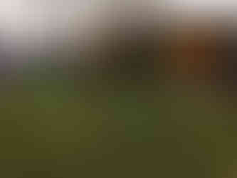 Emprenyeli ahşap kaplama konteyner ev