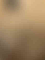 WC ve duşlu ahşap konteyner ev görseli