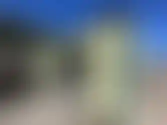 36 m² konteyner ev iç mekân, üçgen tavan ve dekoratif ahşap kaplama