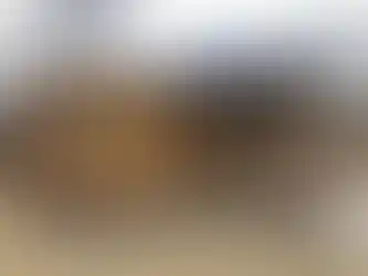 Ahşap kaplama geniş verandalı konteyner ev modeli