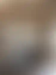 Laminant parke zeminli konteyner ev iç mekan görüntüsü