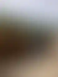 Ahşap pergoleli modern ofis konteyneri görünümü