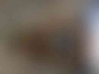 Emprenyeli Sibirya çamı ahşap konteyner kaplama