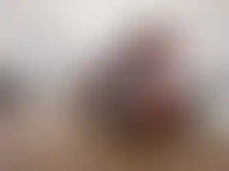 Ahşap kaplamalı loft katlı tiny house ön görünüm