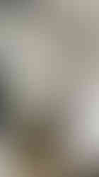 “WC ve duş bölmeli ahşap konteyner banyo alanı”