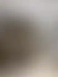 Dağ evi tarzı verandalı ahşap konteyner ev fotoğrafı