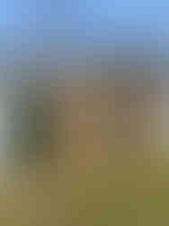 Bahçe için ideal 4x10 ahşap konteyner ev