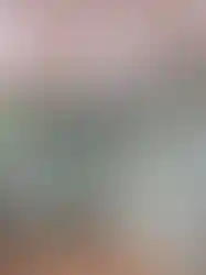 Laminant parke zeminli konteyner ev iç alan