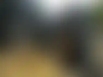 Ahşap pergoleli modern konteyner ev modeli