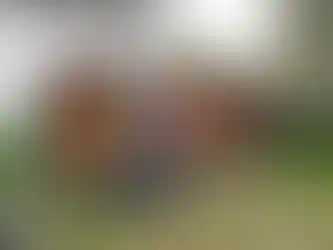 250x800 tiny house ön görünüş