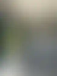 Laminant parke zeminli güvenlik kabini içi