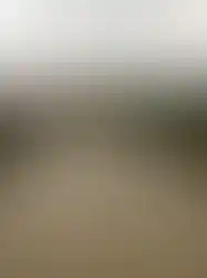 “Tatil ve yazlık kullanımına uygun ahşap konteyner ev.”