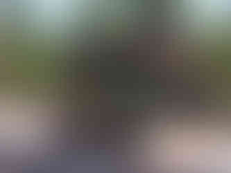 3x4 ahşap kaplama kafe konteyner dış cephe