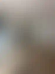 Taş yünü izolasyonlu kompozit panel kaplamalı konteyner duvar sistemi