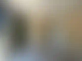 Laminat parke zeminli konteyner ev iç mekan görüntüsü