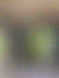 Modifiye konteyner cam kaplama dış görünüm