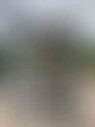 Betopan dış cepheli bekçi kabini