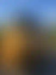 Emprenyeli Sibirya çamı kaplama konteyner ev