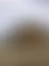 Emprenyeli ahşap kaplamalı modern konteyner ev