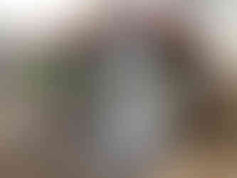 Simgesan ahşap kafe konteyner ön görünüm