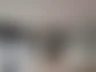 Taşyünü izolasyonlu ahşap konteyner ev