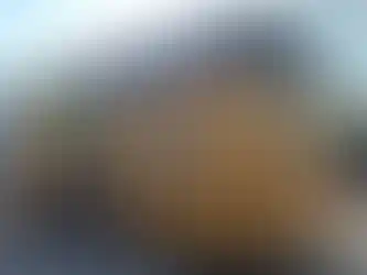 PVC doğrama pencereli ahşap konteyner ev