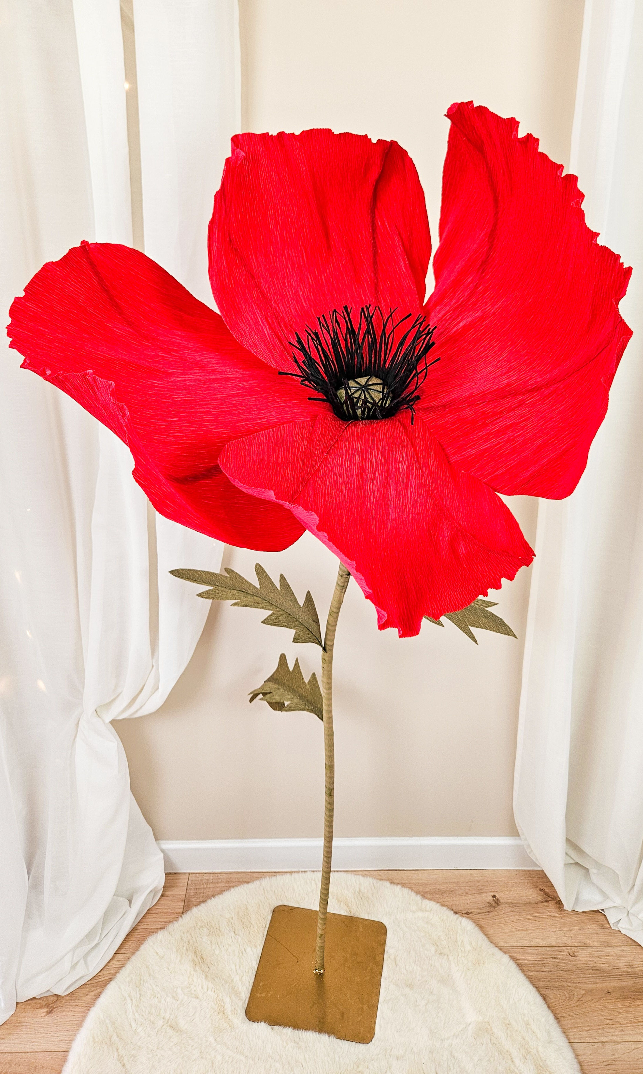 Coquelicot géant à partir de