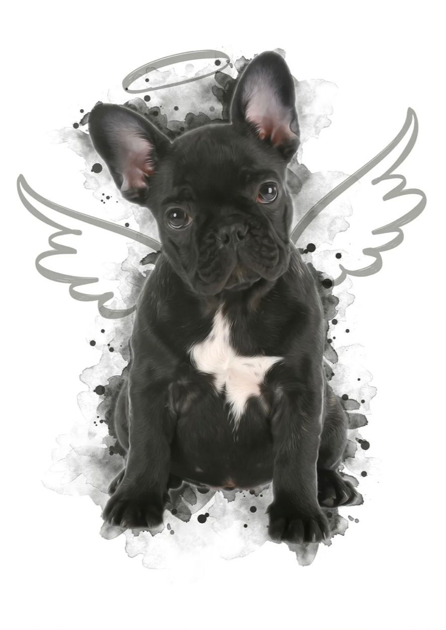 Thumbnail: Custom Watercolour Pet Illustration