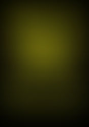 'TRIKEFEST 2017' Headlining