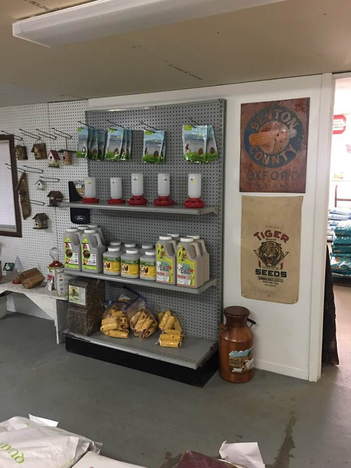 showtime dog food dealers near me