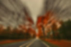Blurred road through autumn trees; perspective with colorful foliage background.