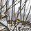 Thumbnail: Several small yellow birds perched on the branches of the trees in winter.