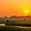Thumbnail: Vibrant sunset over a lush green field with grazing animals and trees.