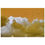 Thumbnail: Flock of birds flying over a white cloud, orange sky in background.