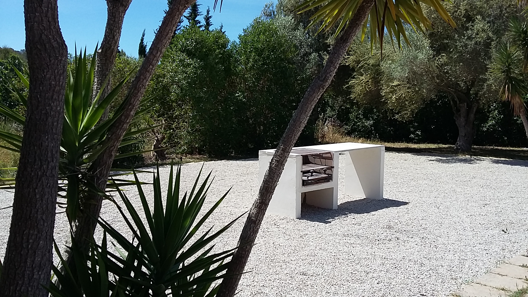 Vacation Rental Paguera