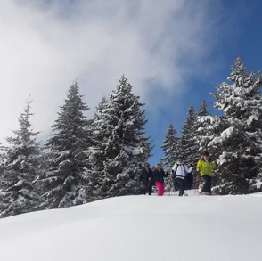 raquettes à neige accompagnées