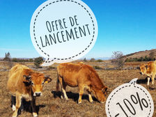 Offre de lancement : 10 % de réduction
