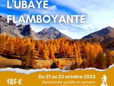 Un lundi sur nos chemins