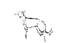 run, draw