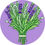 Miniaturbild: Amour de Provence