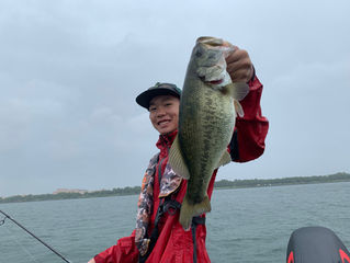 表層ゲーム好調 週末空き状況