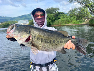 朝からロクマル出ました❗️